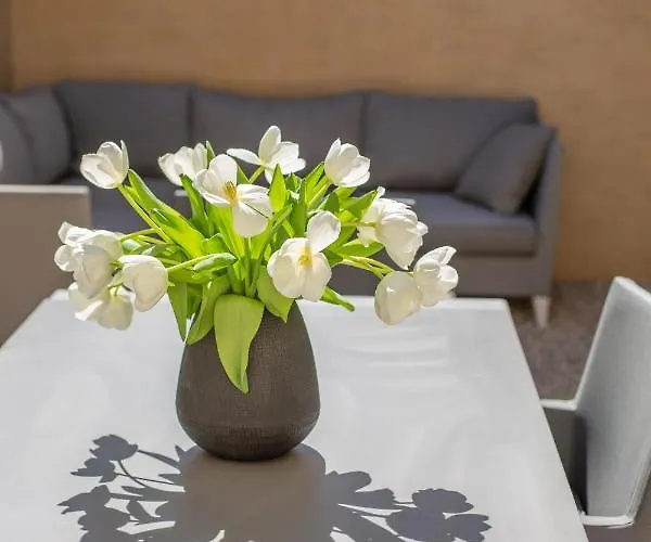 Maison Danube Saint-Tropez